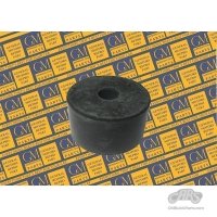 1901-1999 Buick & GM Body Cushion