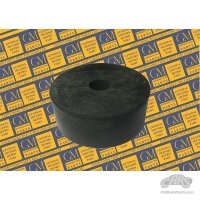 1901-1999 Buick & GM Body Cushion